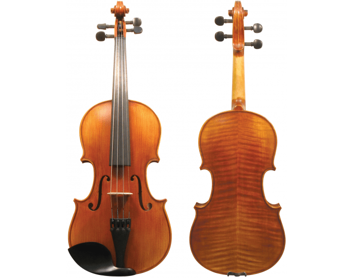 Viola Components Parts of the Violin/Viola Quiz