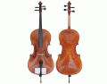 Parts of the Cello