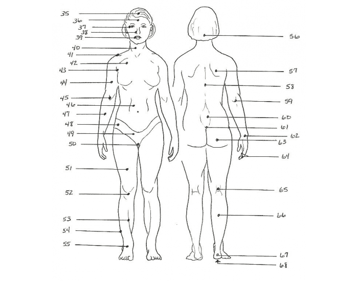 Unit 1 Body Regions Quiz unit-1-body-regions-quiz