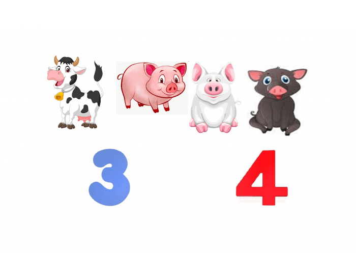 3 4 ANIMALS Quiz