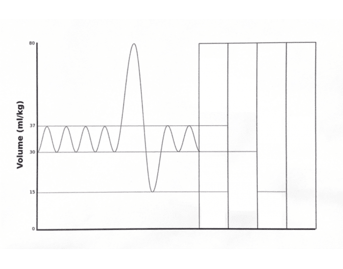 Ventilation Graph Human Ventilation graph Quiz