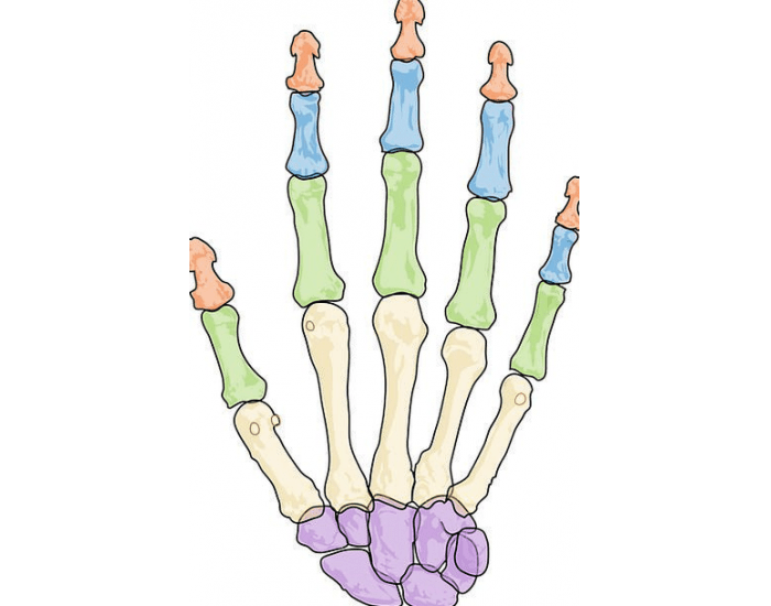 Hand Labeling Quiz