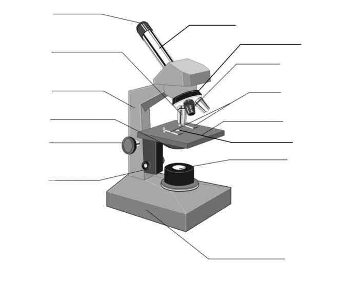 Compound Microscope Parts Quiz