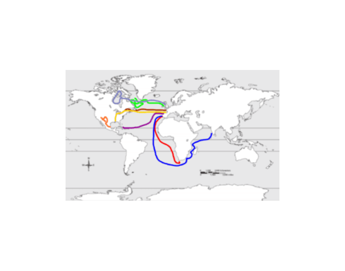 Basic Explorers Maps Explorers Map — Printable Worksheet