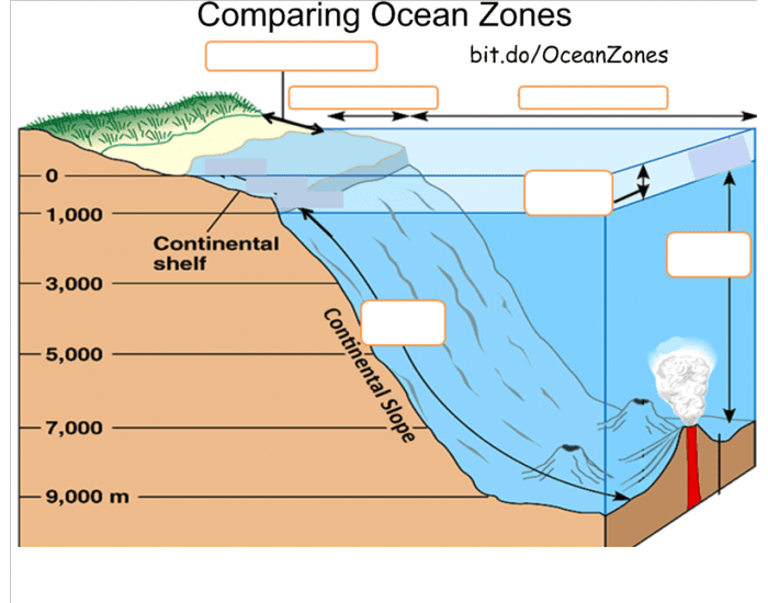 Which Ocean Zone Is This? Quiz