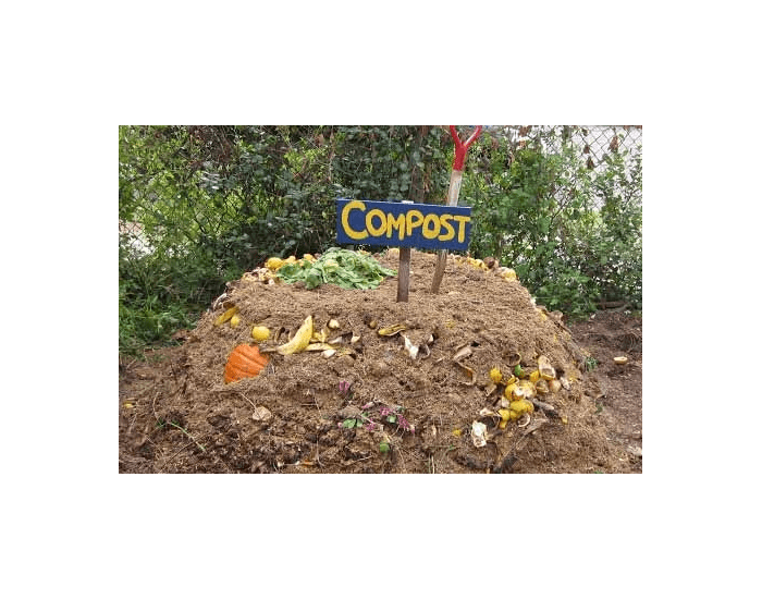 Identify the elements of compost Quiz
