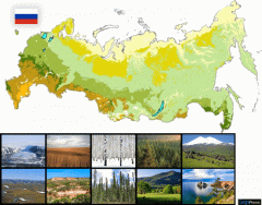 Vegetation Zones of Russia | Quiz