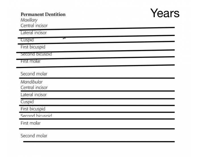 Permanent Eruption Sequence Quiz