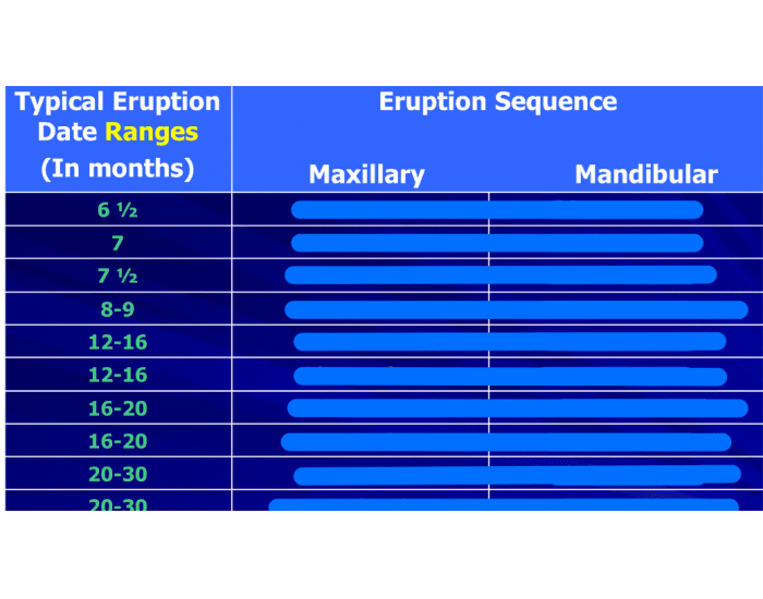 Primary Eruption Sequence Quiz
