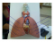 Identify the structures of the lungs