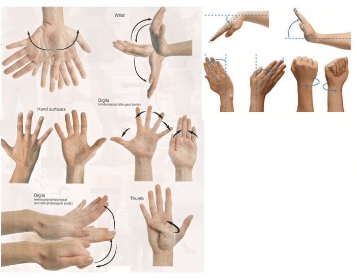 Hand Movements Quiz