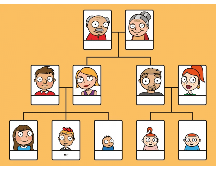 Family tree Quiz
