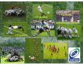 Rugby Actions