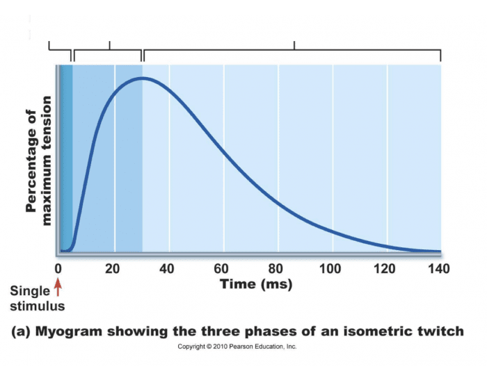 H.O. #18 myogram Quiz