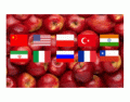 Top 10 Nations: Apple Production