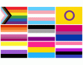LGBTQ+ pride flags