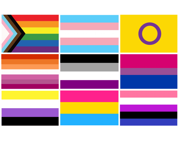 LGBTQ+ pride flags Quiz