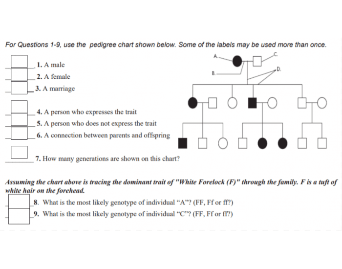 Pedigree Chart Quiz