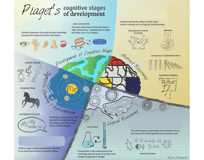 Piaget Test Questions Piaget's stages of development Quiz