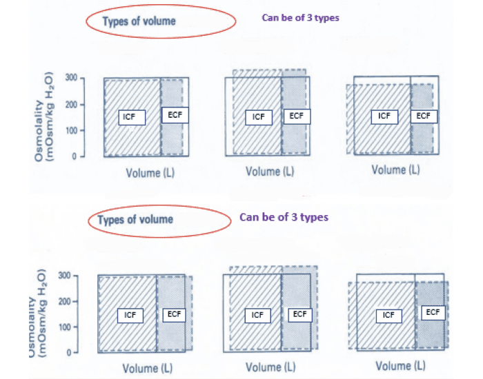 Volume Contrain Volume Contraction & Expansion — Printable Worksheet