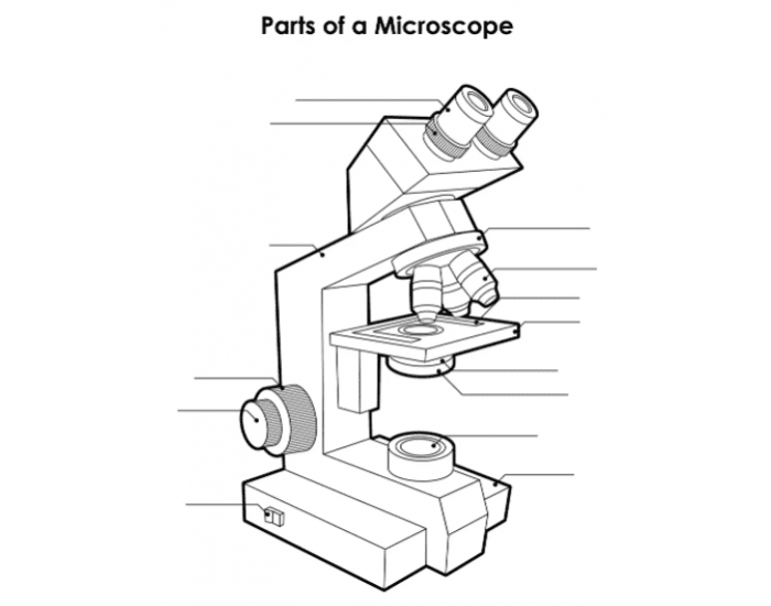 Parts of a Microscope Quiz