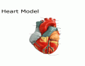 Label the Exterior Heart (Non-Clinical Majors)