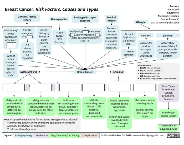Breast Cancer Worksheet.pdf Breast cancer flowchart — Printable Worksheet