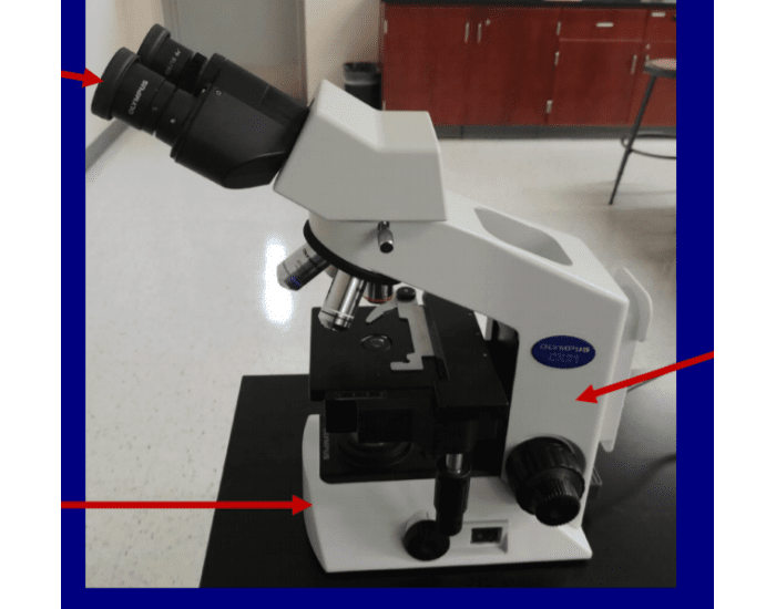 microscope label Slide1 Quiz