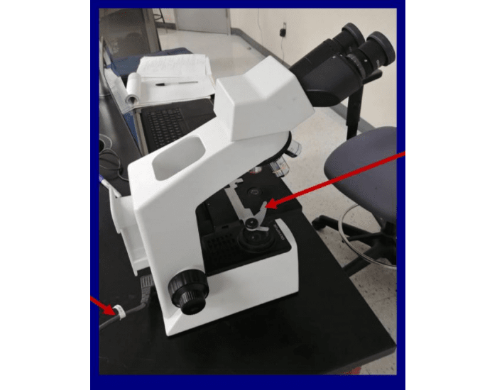 Microscope Label 3 Quiz