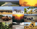Top 10 African National Parks