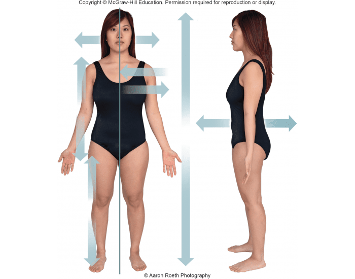 relative-positional-anatomical-terms-printable-worksheet