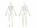 L2 AIQ - Skeleton 