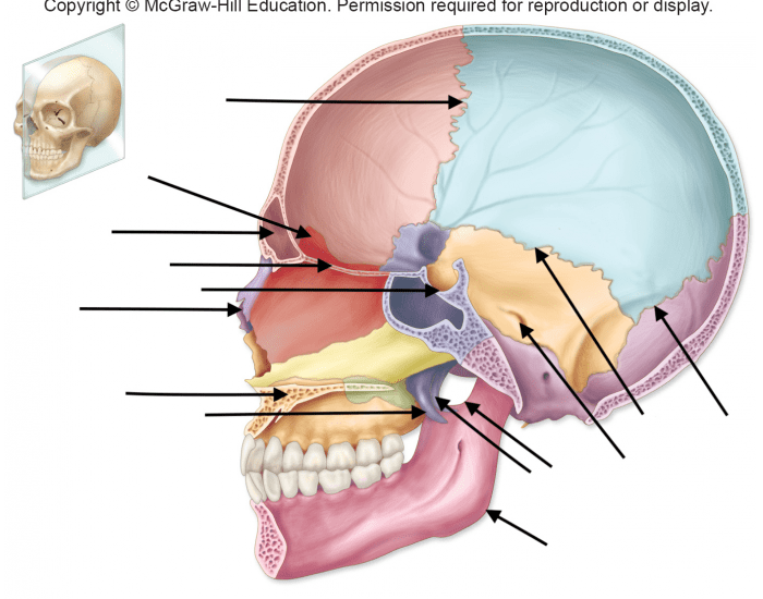 Skull Labeling Game 1