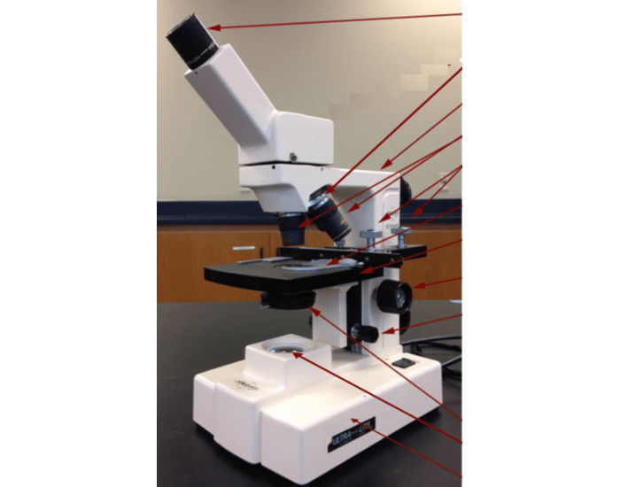 Labeling Microscope Quiz