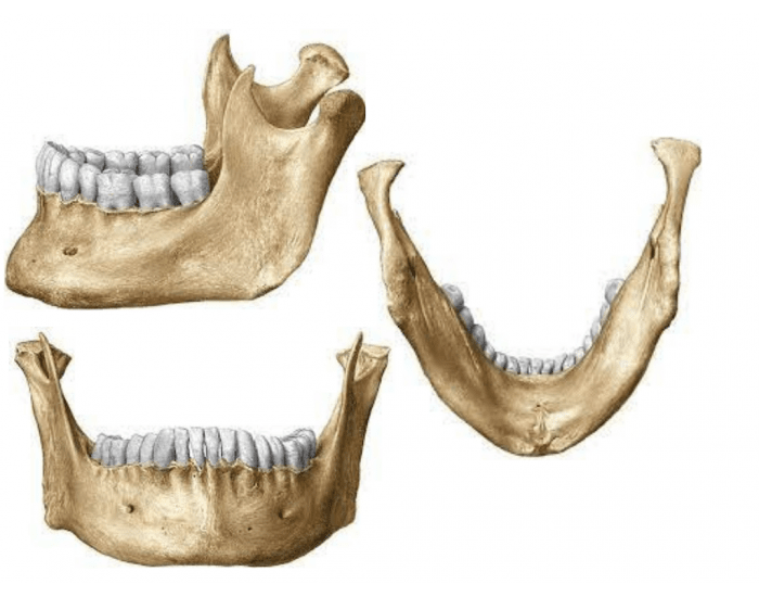 Map Quiz: Mandibula (imesap - mandibula - huesos)