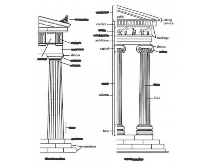 Colums Parts Column Parts Quiz