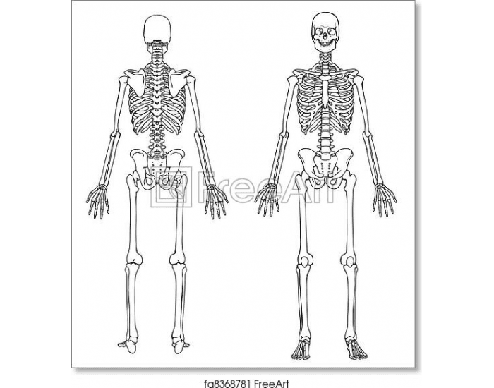 The Bones Quiz