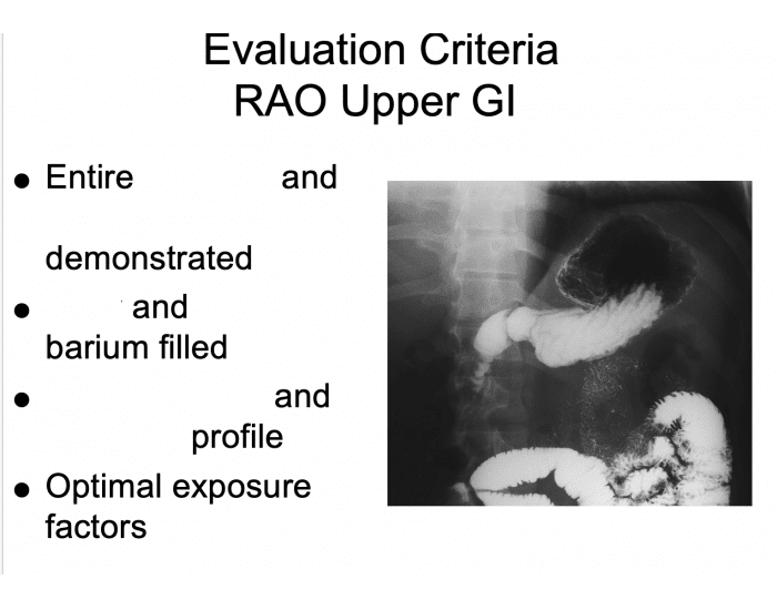 Labels Rao Ugi EVAL CRITERIA RAO UGI Quiz