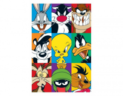 Loony Toons Characters