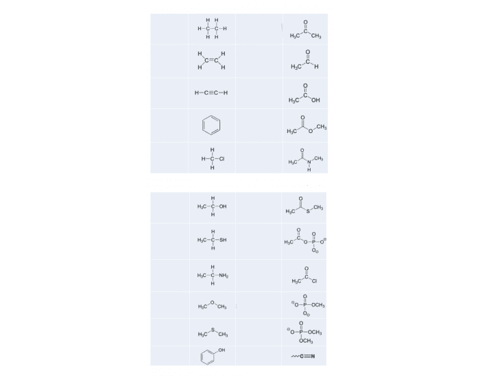 Function Bg Functional group review Quiz
