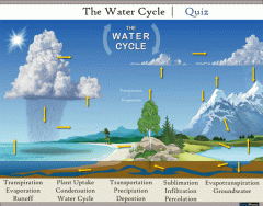 The Water Cycle | Quiz