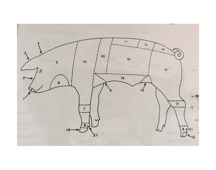 Pig Labeling — Printable Worksheet