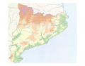 Relleu Topografic Catalunya(1)