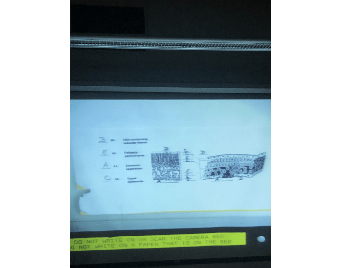 bio 4 Quiz
