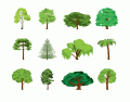Common Types of Trees