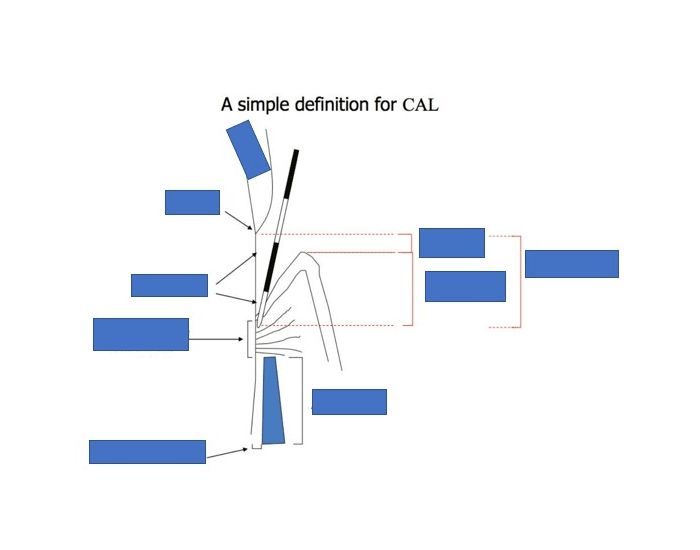 Definition for CAL Quiz