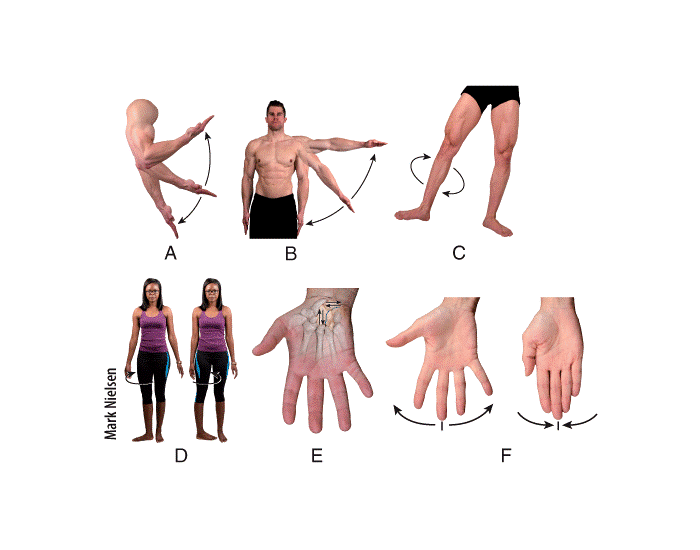 Label the Movement Quiz