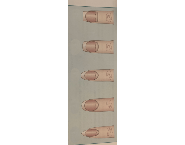 Nail Shape Quiz