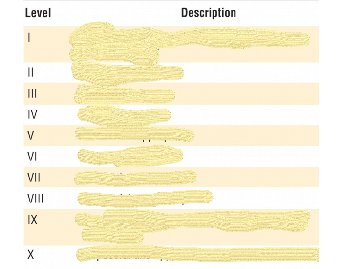 Rookie Ranch Level Rancho level examples Quiz