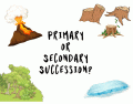 Primary or secondary succession?